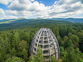 Bayerischer Wald